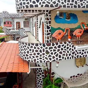 Coloma Galapagos Hotel Puerto Ayora (Galapagos Islands)